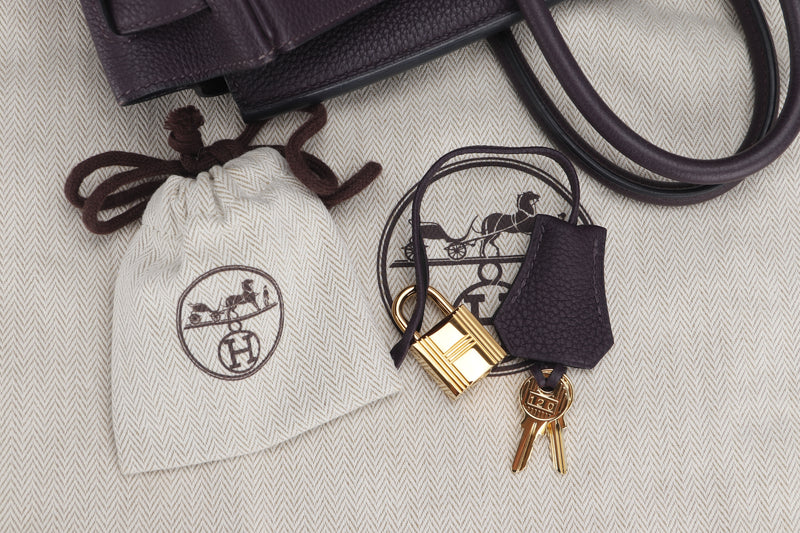 hermes birkin 25 (stamp d) raisin color togo leather gold hardware, with  keys, lock, raincoat & dust cover