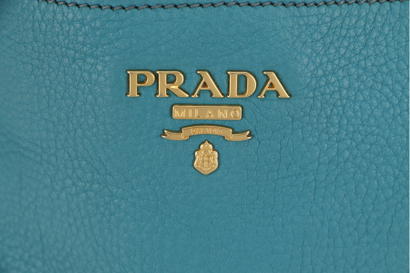 PRADA BR4970 SHOULDER BAG PAVONE VITTELO DAINO LEATHER GOLD HARDWARE WITH CARD