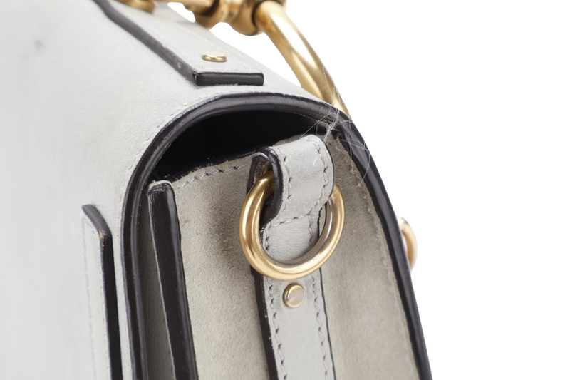 CHLOE NILE BRACELET SHOULDER BAG ETAIN CALF LEATHER GOLD HARDWARE WITH DUST COVER AND STRAPS