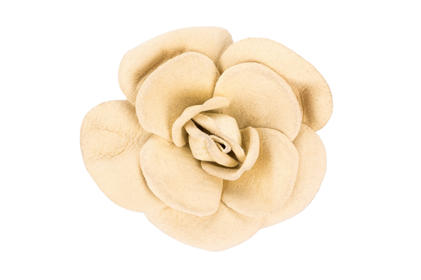Chanel Camellia Brooch Ivory Color with Box