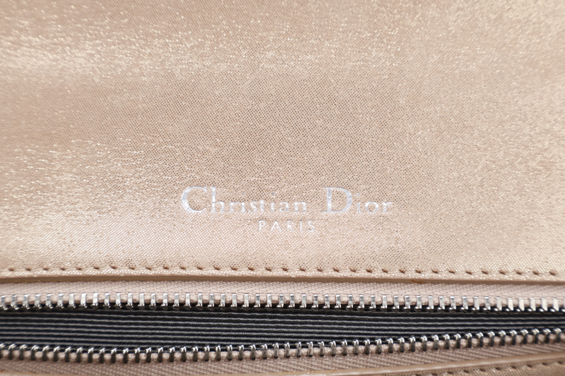 DIOR DIORAMA SMALL METALLIC BEIGE SUEDE SILVER HARDWARE 01-BO-0125 WITH CARD, DUST COVER AND BOX