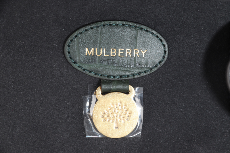 MULBERRY BAYSWATER NETTLE GREEN CROC EMBOSSED NAPPA LEATHER BAG GOLD HARDWARE WITH PADLOCK NO DUST COVER