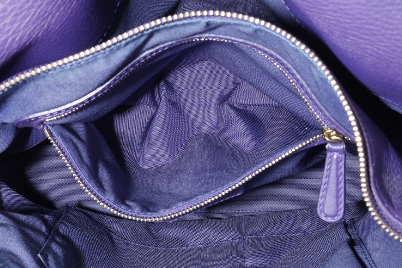 CHRISTIAN DIOR GRANVILLE PURPLE CALF LEATHER GOLD HARDWARE 17-BO-0173 WITH DUST COVER AND STRAPS