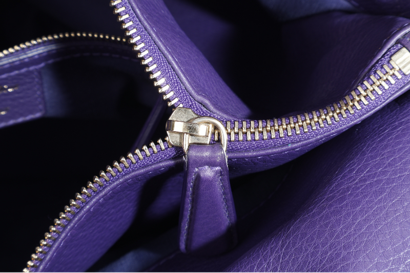 CHRISTIAN DIOR GRANVILLE PURPLE CALF LEATHER GOLD HARDWARE 17-BO-0173 WITH DUST COVER AND STRAPS