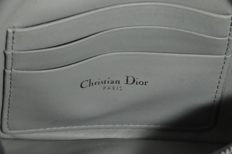 CHRISTIAN DIOR GREY LEATHER WOC 05-RU-0292 RUTHENIUM CHAIN WITH DUST COVER