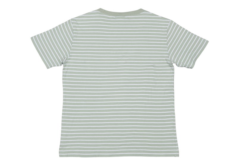 CHAMPION C3-X354 MEN'S STRIPED T-SHIRT SHORT SLEEVE SIZE M GREEN
