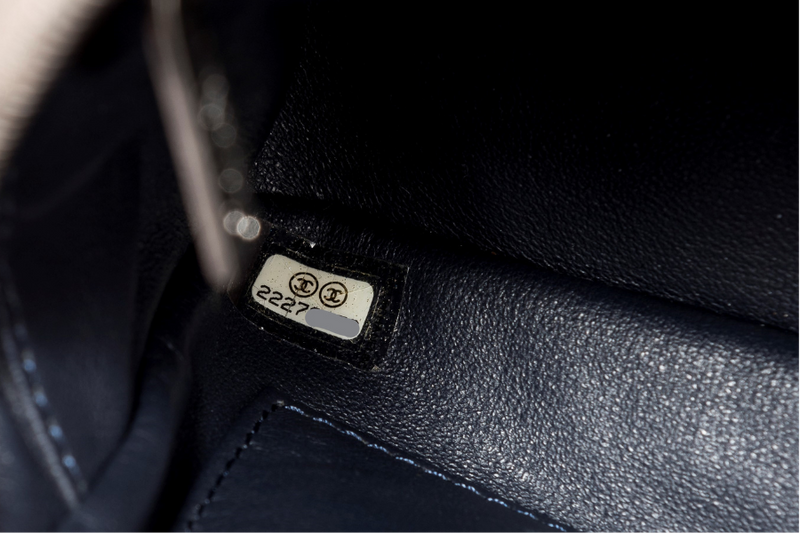 Chanel Light Beige Caviar Leather Camera Bag Ruthenium Chain