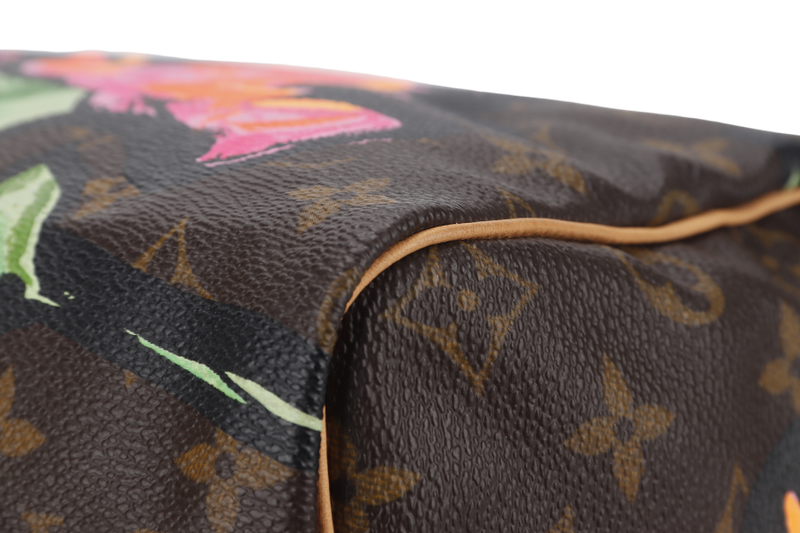 LOUIS VUITTON SPEEDY 30 MULTICOLOR MONOGRAM ROSES COATED CANVAS NO DUST COVER