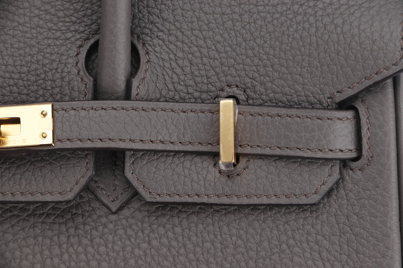 Hermes Birkin 25 Bag Etain Gold Hardware Togo Leather New w/Box